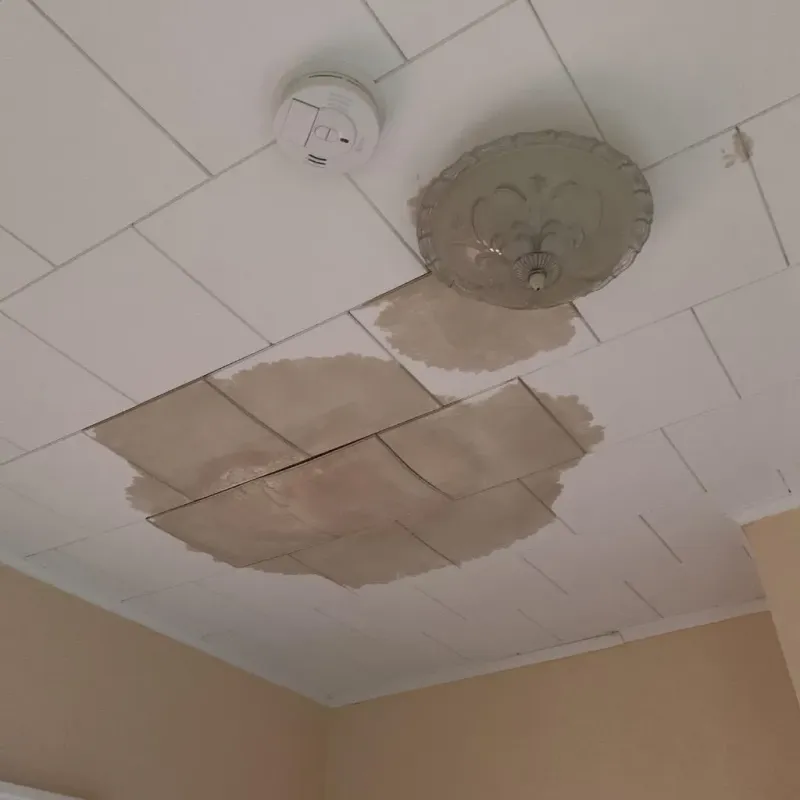 Ceiling Water Damage Repair in North Newton, KS