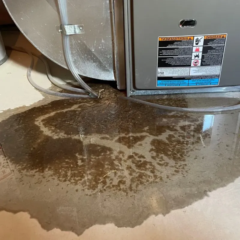 Pipe Burst and Leak Restoration in North Newton, KS