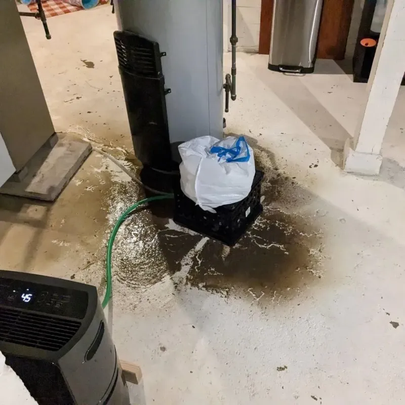 Sewage Backup Cleanup Service in North Newton, KS